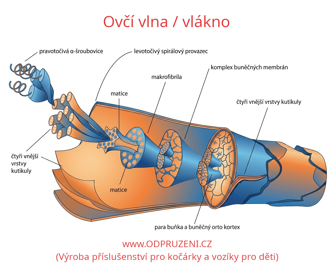 ovci-vlakno-fusaky-dogy